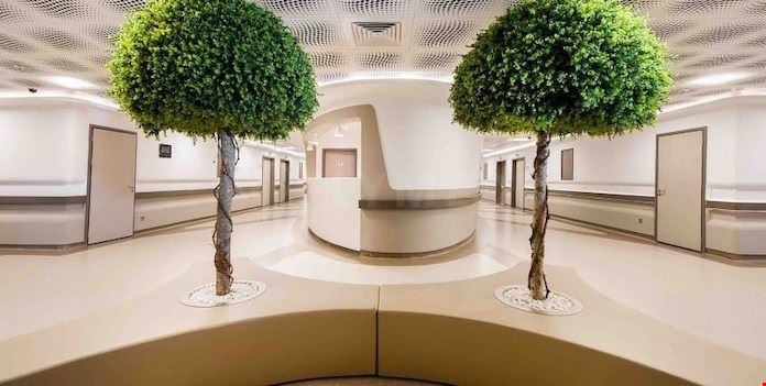 Dr. Cinik Clinica di Trapianto Capelli 4